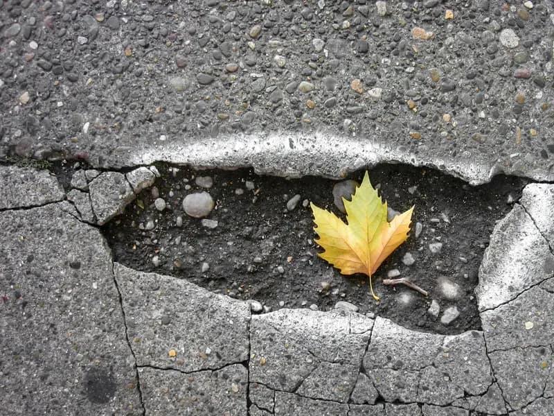 E-Rechnung in der Praxis: Typische Stolperfallen und Lösungen