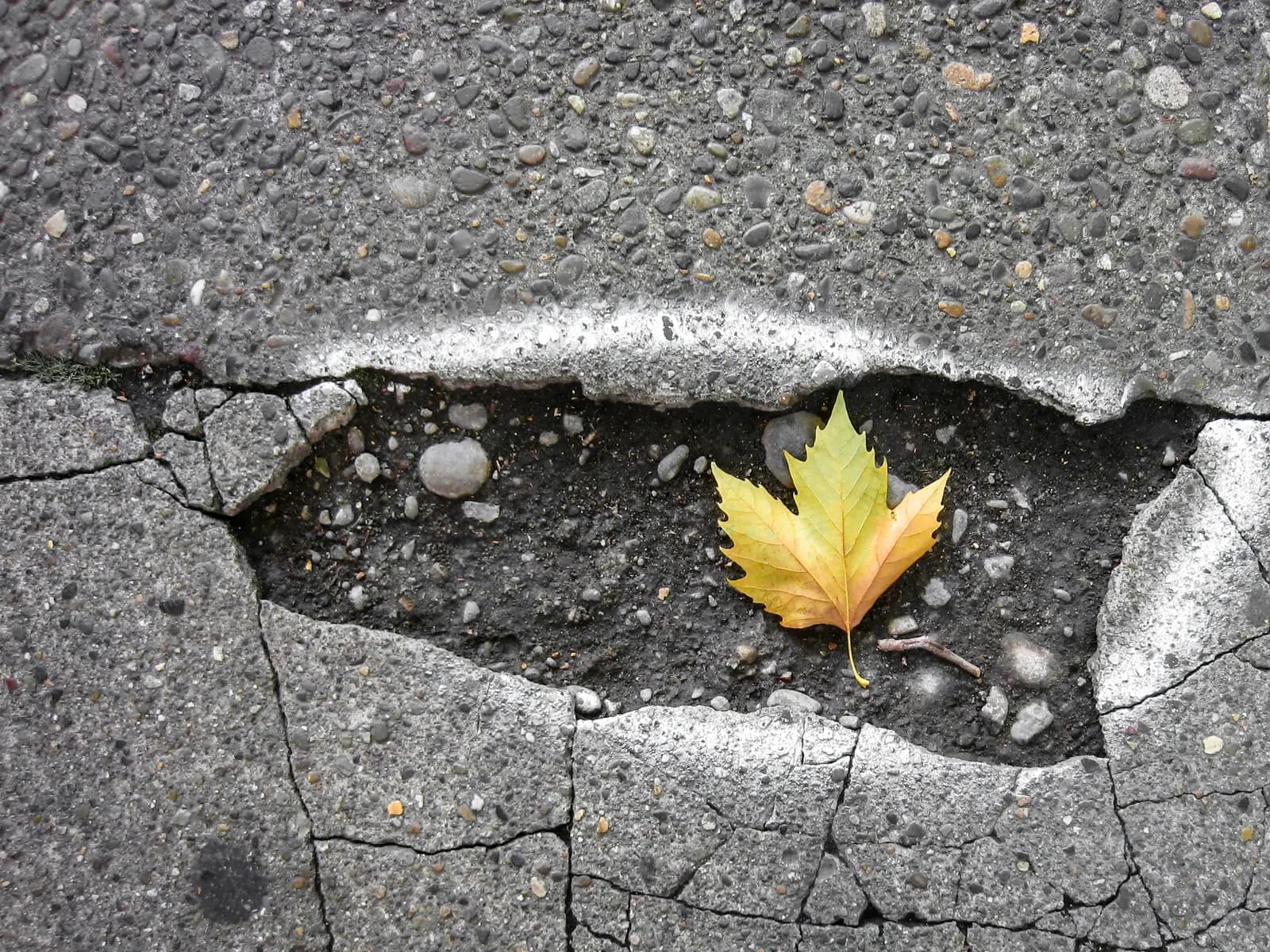 E-Rechnung in der Praxis: Typische Stolperfallen und Lösungen