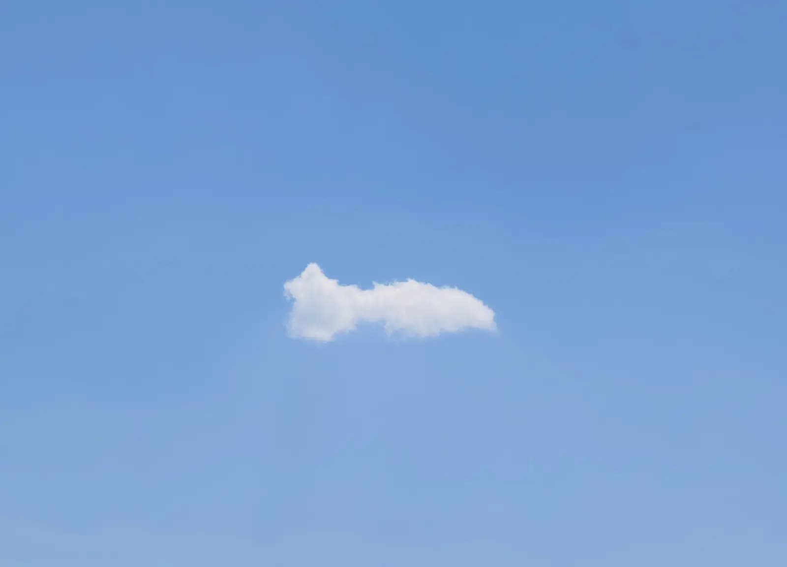 Cloud-Nutzung in Steuerkanzleien: Berufsrecht und Mindestanforderungen